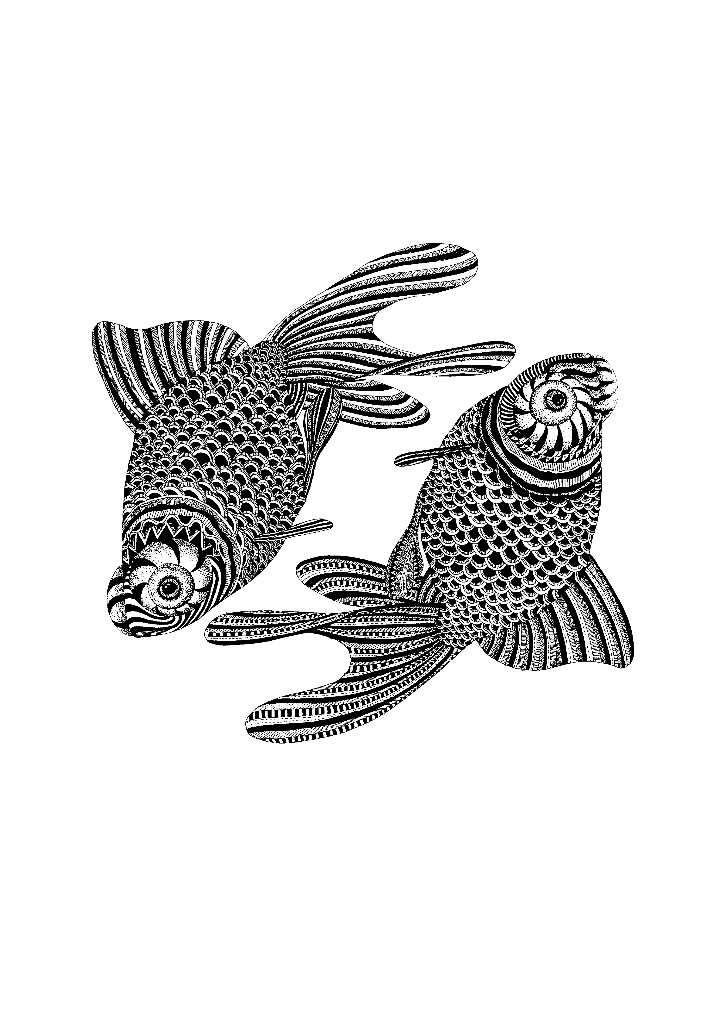 连年有鱼|插画|商业插画|虎牙wxc - 原创作品 - 站酷 (zcool)