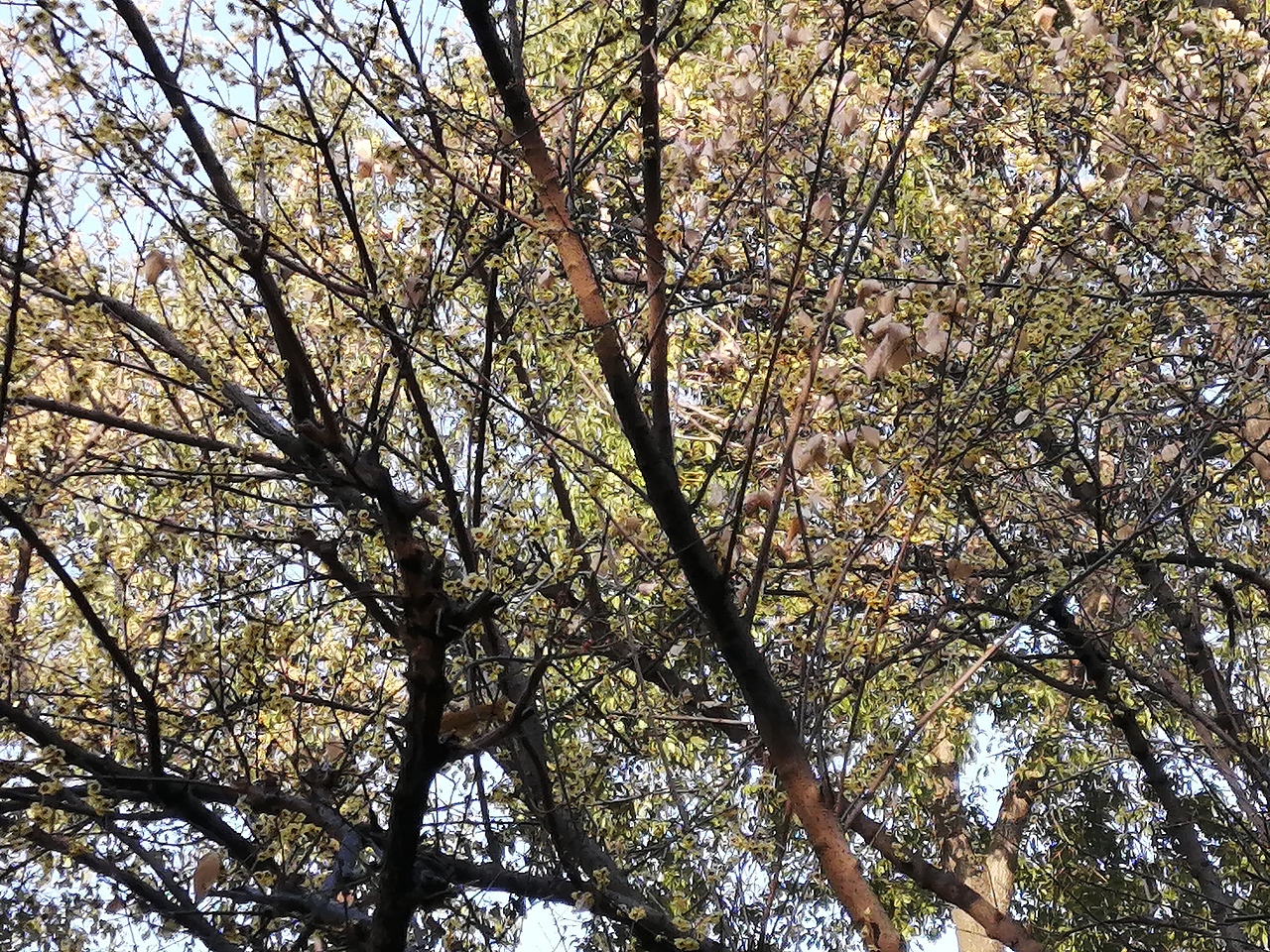 境源己造,相由心生