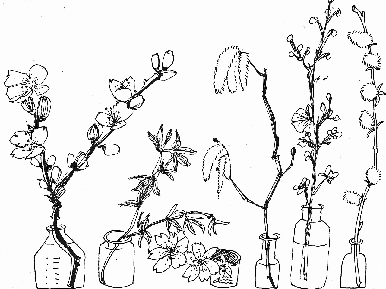 植物链（图ZODYyNzEwNDQ=） - 新锐潮流插画 - 站酷设计师林二LinEr原创素材 - 站酷ZCOOL