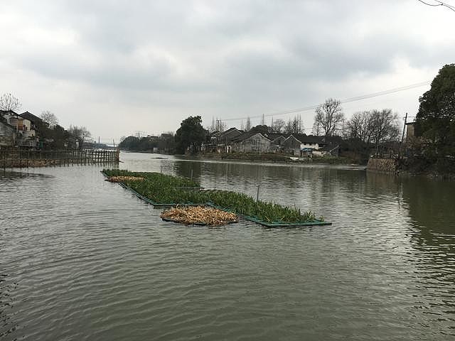 玩手机错过的美景