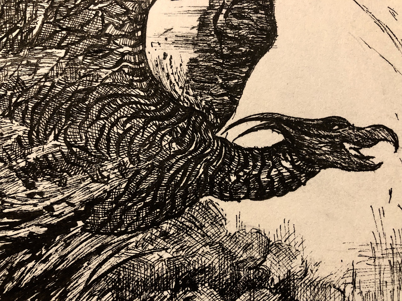 哥斯拉2019出场怪兽拉顿|纯艺术|绘画|无恙wast_原创作品-站酷zcool