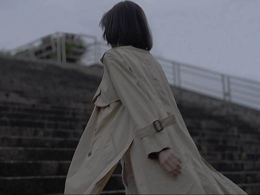 无声的鸟，自由地飞