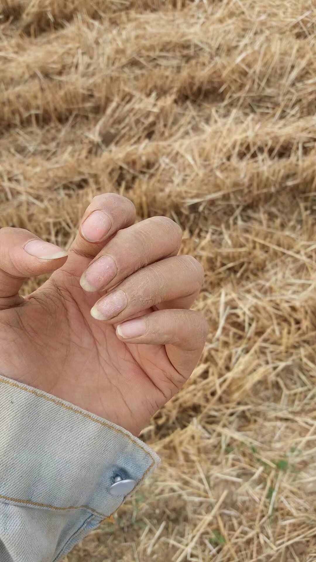 收获（图ZOTA2MzQyNDg=） - 风光摄影 - 站酷设计师荀味原创素材 - 站酷ZCOOL