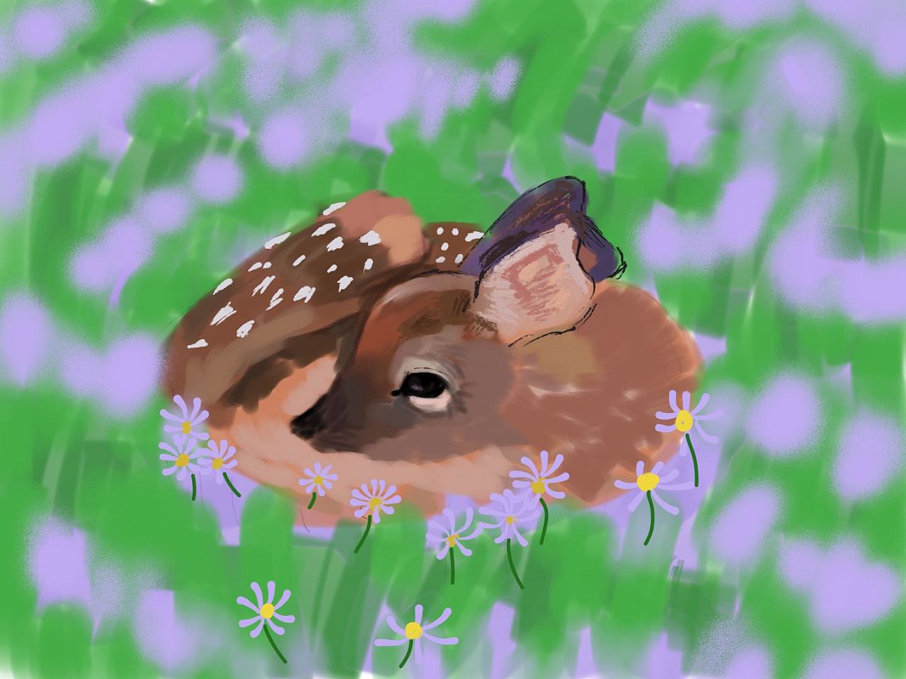 小鹿插画动物插画唯美插画小清新插画可爱插画