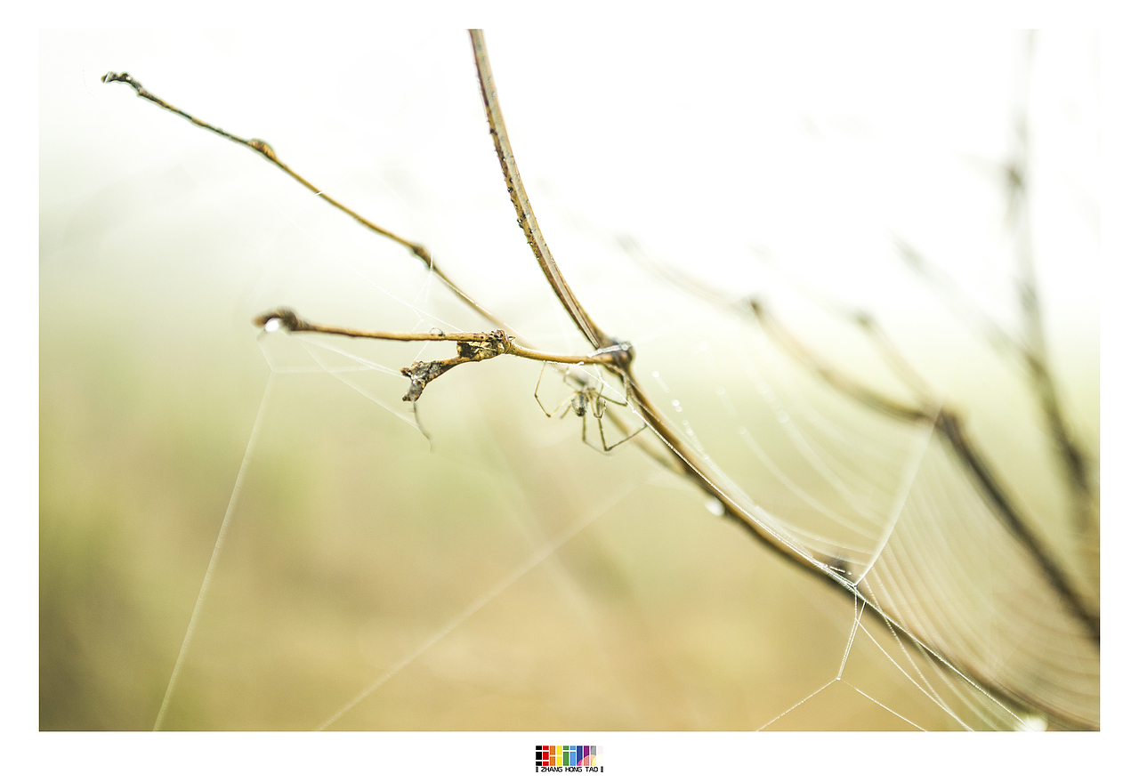 老家—江西万载县