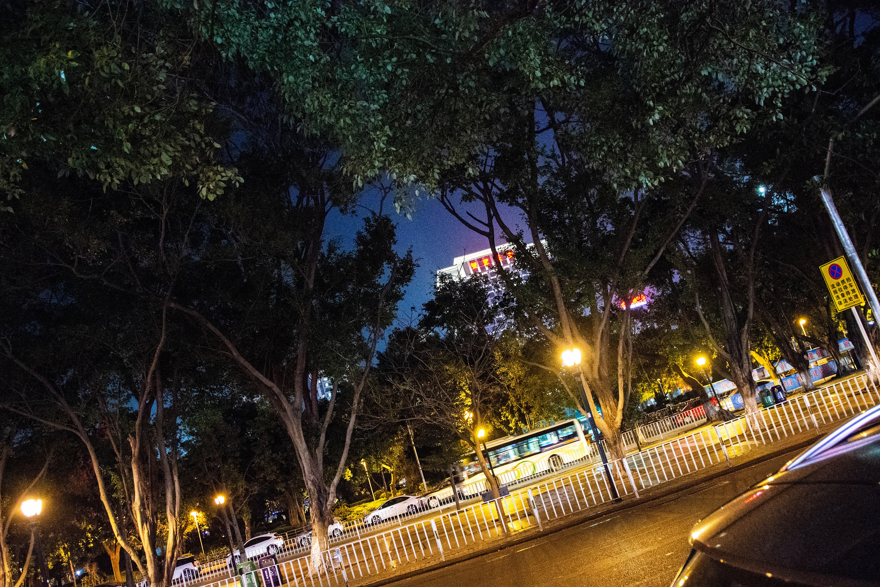东莞长安公园夜景图片