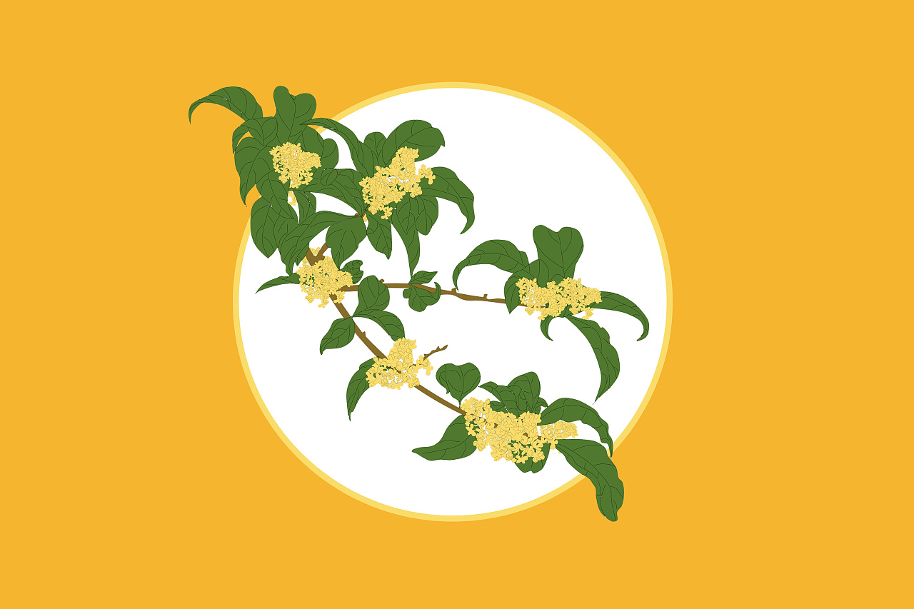 桂花|插画|创作习作|cainoo - 临摹作品 - 站酷 (zcool)