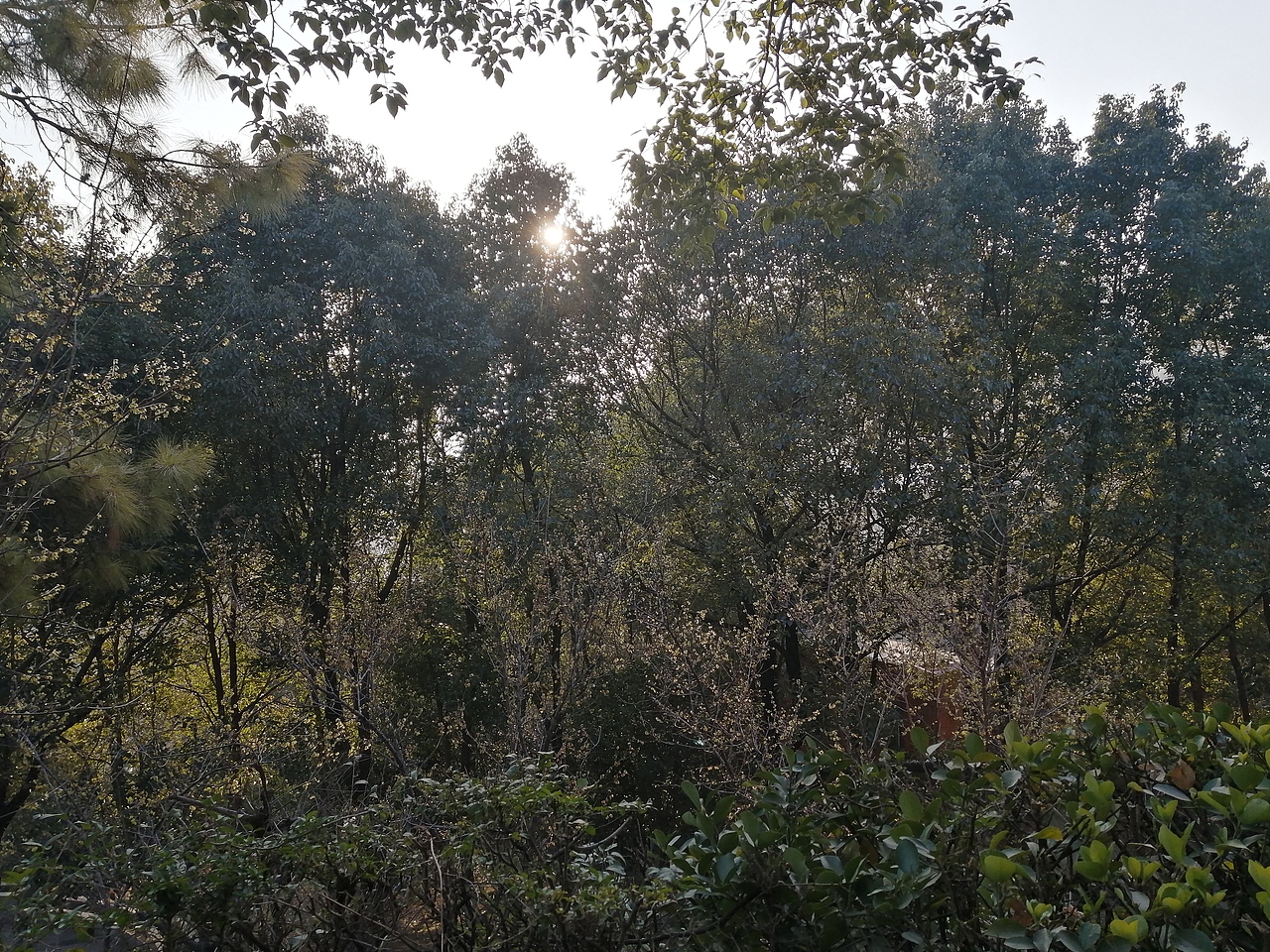 境源己造,相由心生