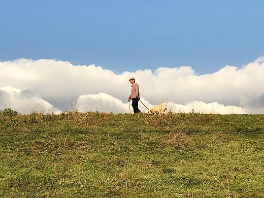 大理小游记-5.11