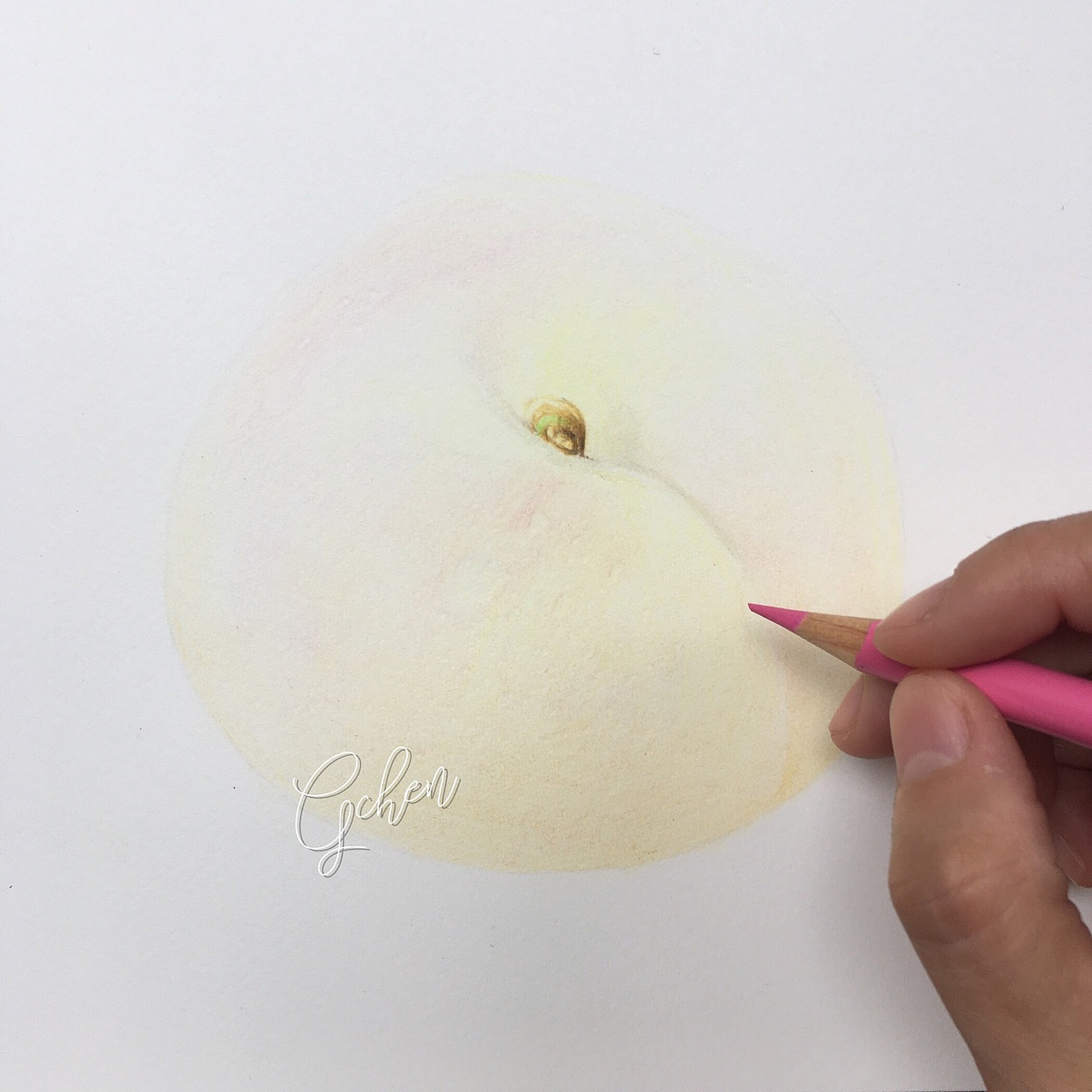 手绘桃子（图ZMTMyNDcwMDcy） - 绘画 - 站酷设计师咔咔画画la原创素材 - 站酷ZCOOL