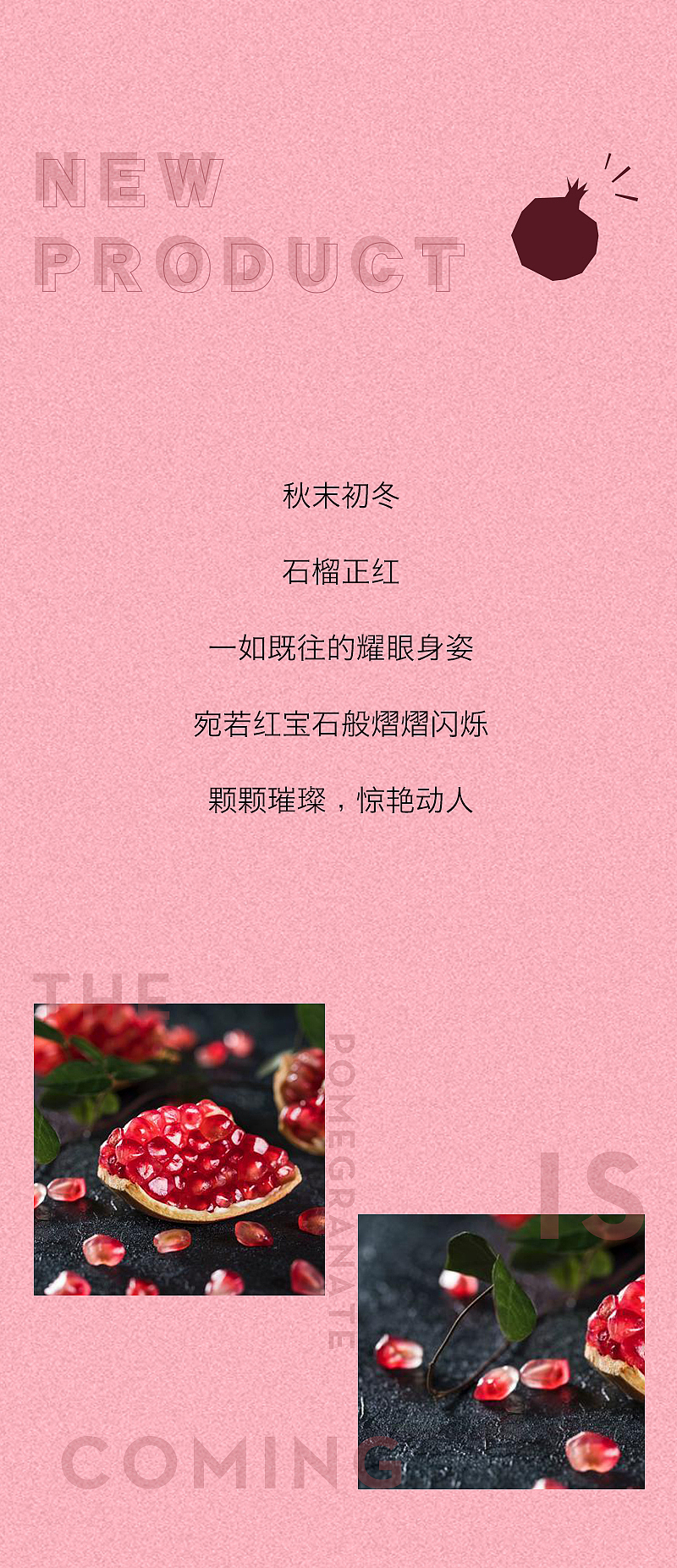 冷冻石榴汁宣传文案 图文排版