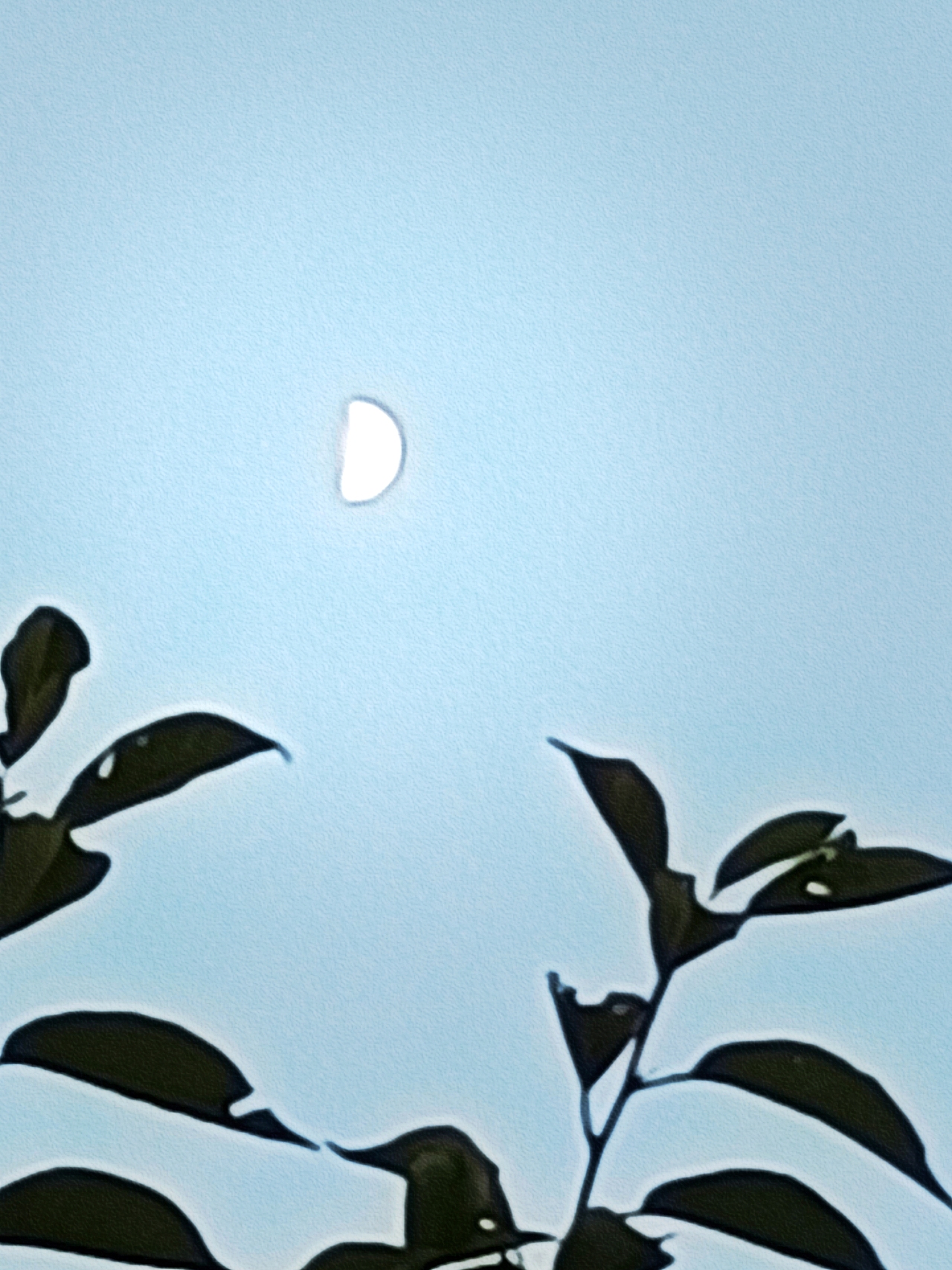 生活中到处美景