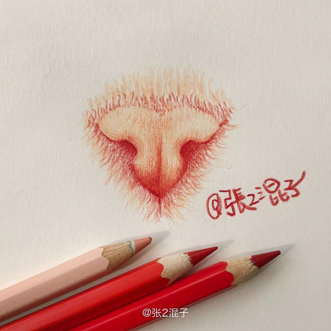 彩铅10分钟画出粉嫩猫鼻子