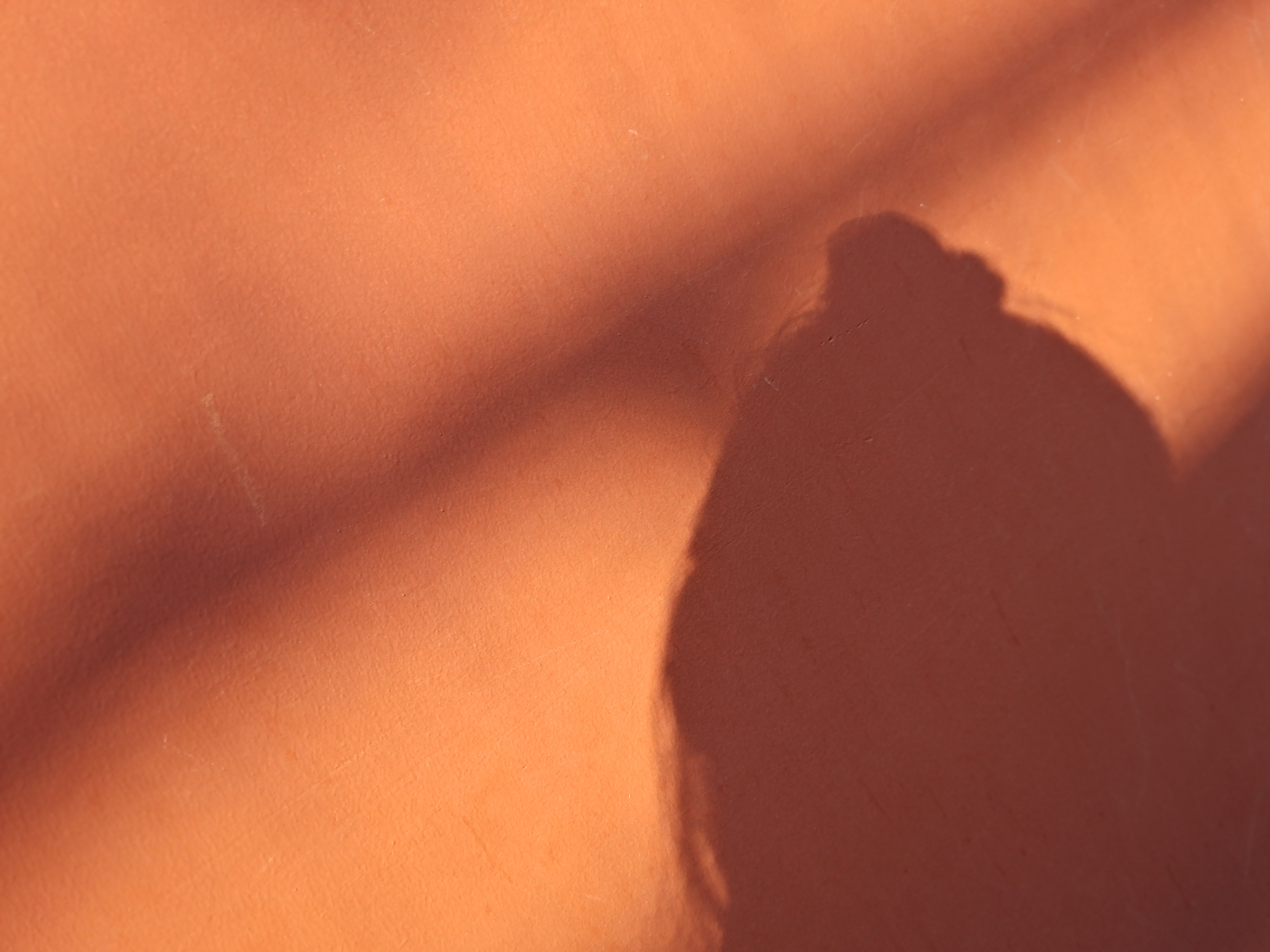 毛不易的小仙女的个人主页（封面预览） - 主页封面设置 - 站酷设计师毛不易的小仙女原创素材 - 站酷ZCOOL