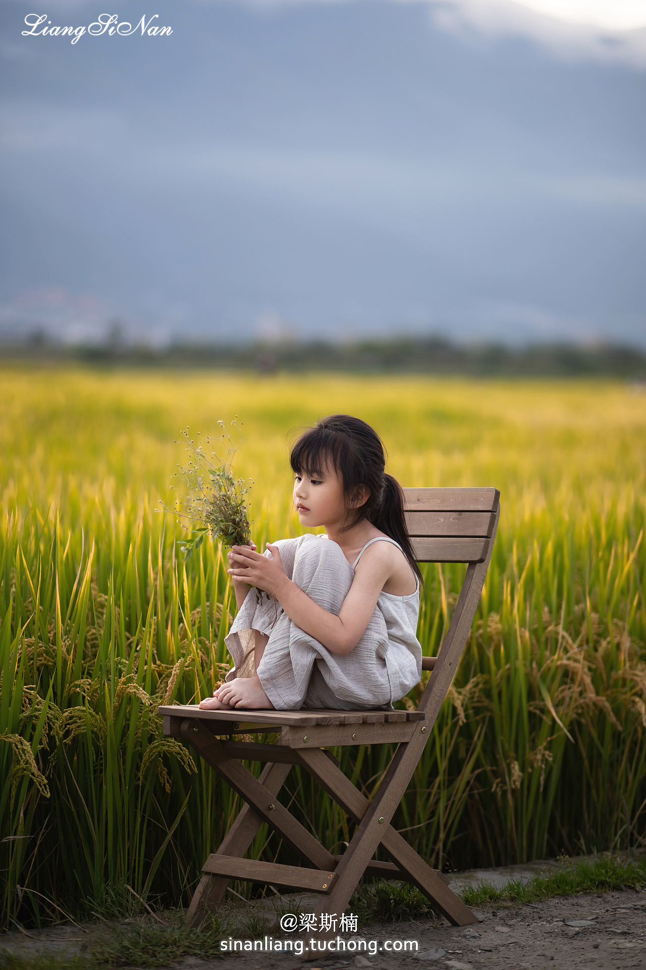 风,已经是秋天的味道了呢!