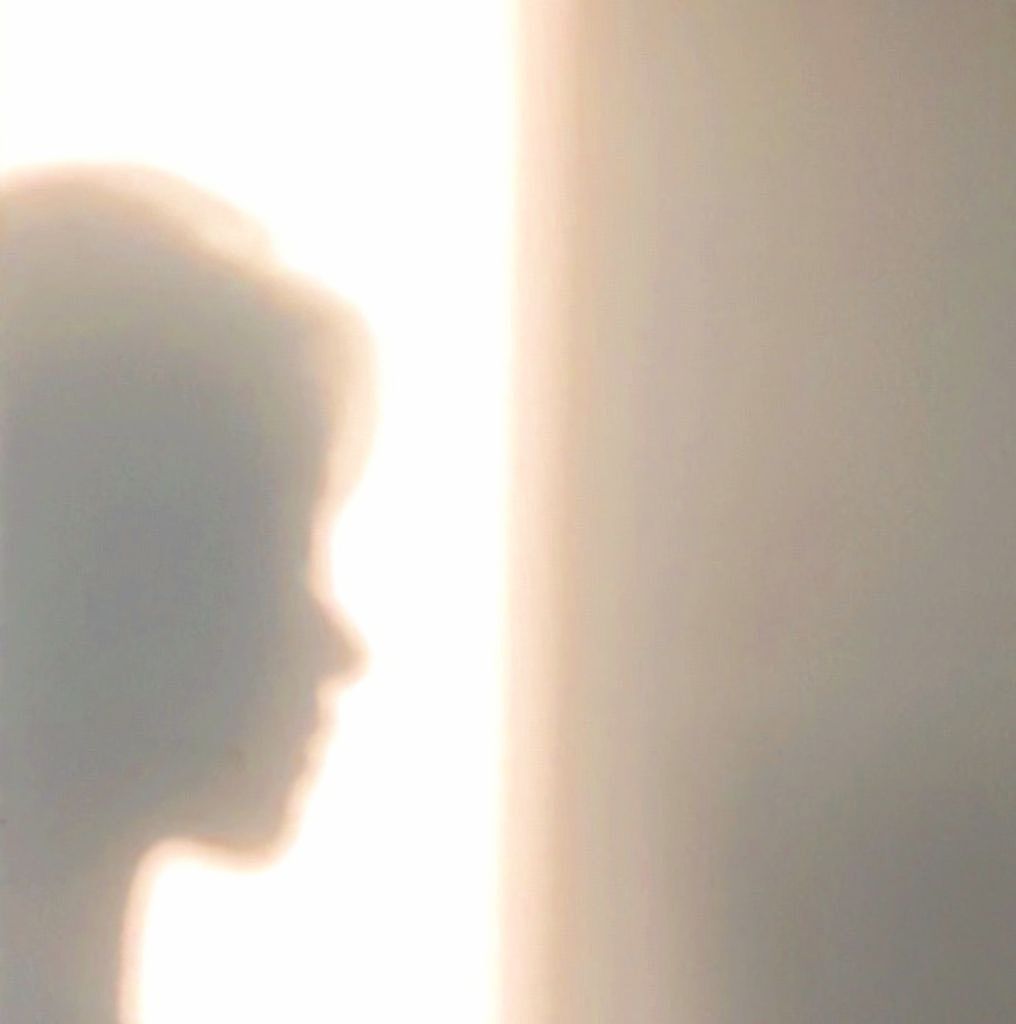 《与光的合影》