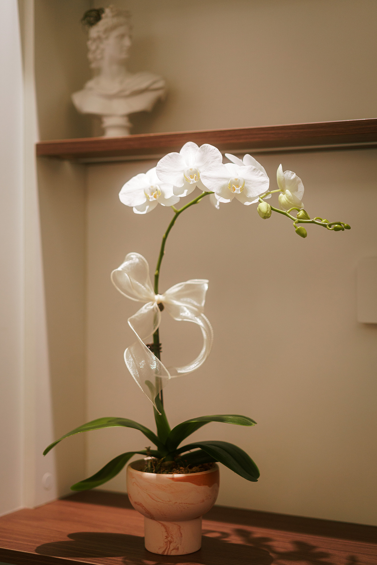 摄影师把自己家装成了这样！