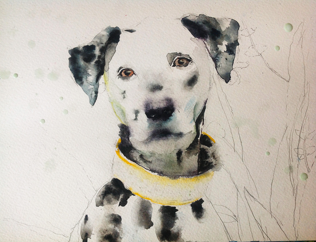 水彩画斑点狗