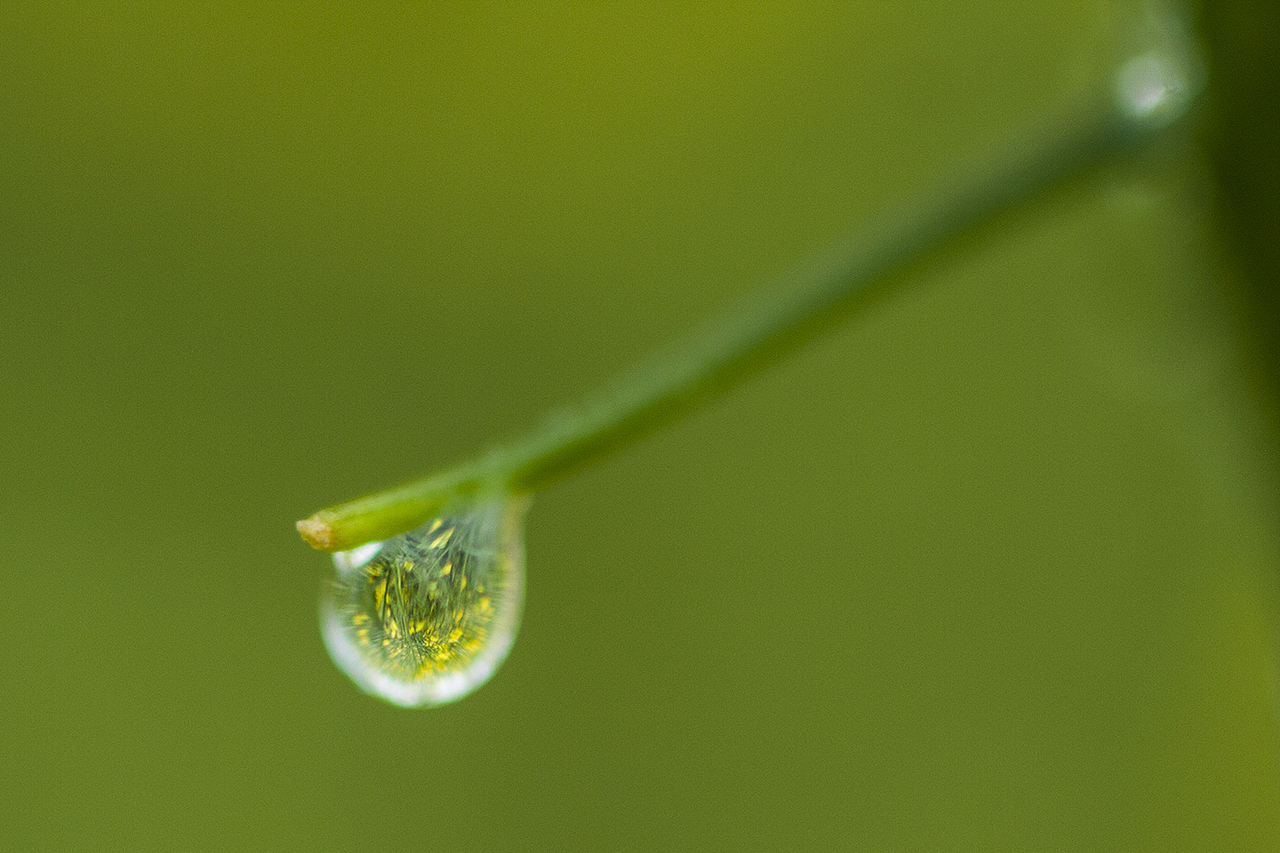 云南-罗平油菜花（图ZMTQxMzE4MDg=） - 风光摄影 - 站酷设计师RyanShao原创素材 - 站酷ZCOOL