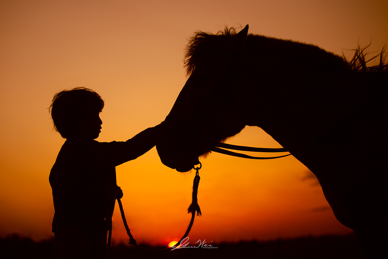草原旅拍之随手拍风景