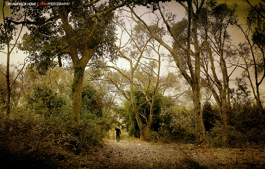 家乡2（图ZMTE1NzE0MzIw） - 风光摄影 - 站酷设计师司马摄影原创素材 - 站酷ZCOOL