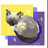 用户头像