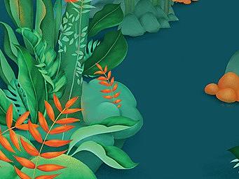 有机奶粉包装插画