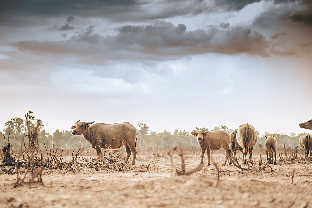 Thailand and Cambodia（图ZMjEyMTE4ODIw） - 人文/纪实摄影 - 站酷设计师美黑后的刘鸣良原创素材 - 站酷ZCOOL