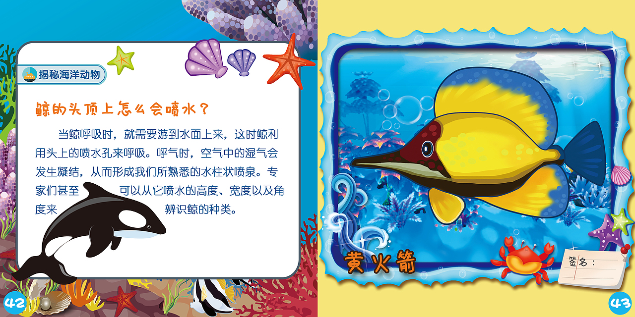 海洋公园AR涂色本全本/包装/宣传海报/APP界面