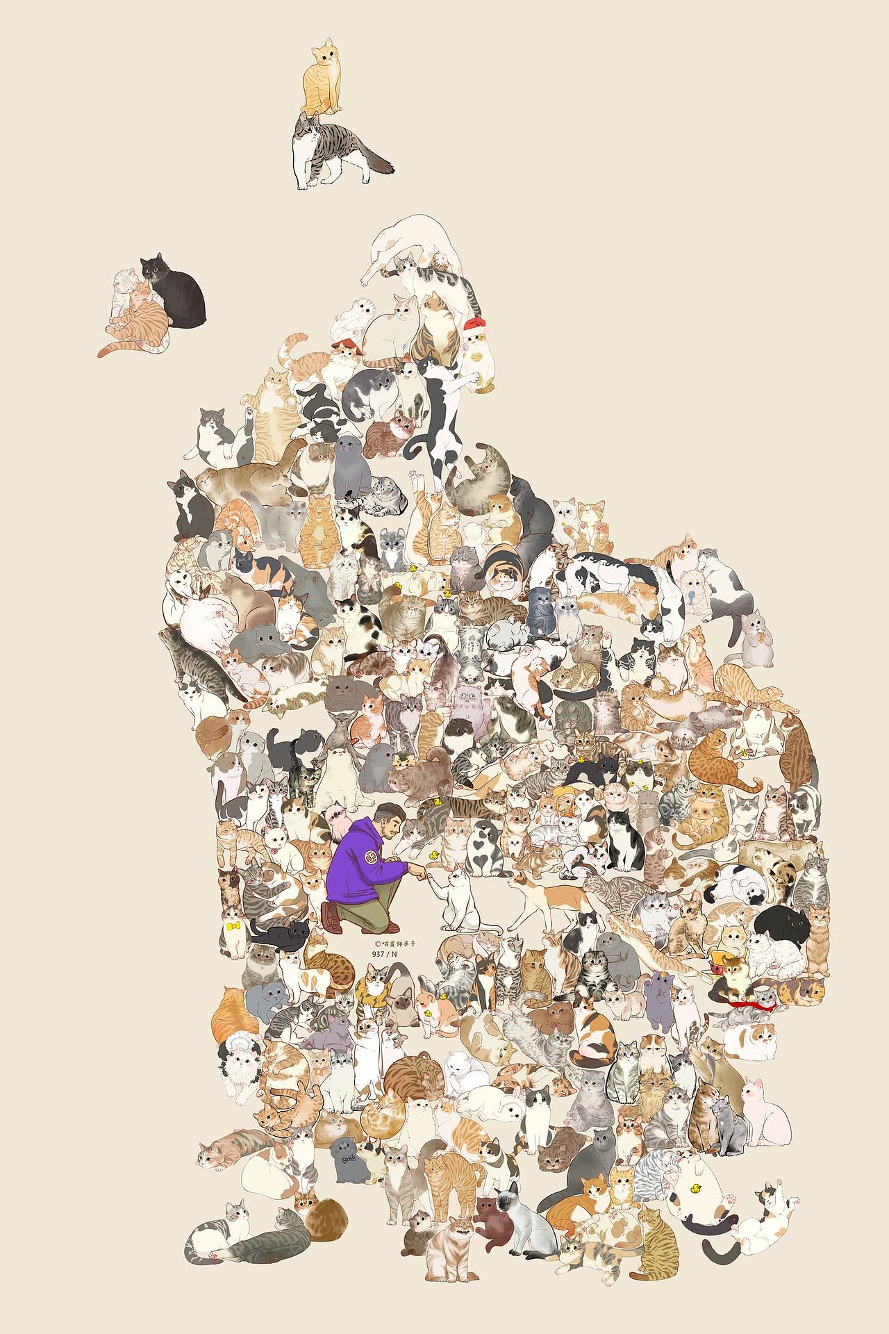 画猫的第三季250天,937天的画猫纪录