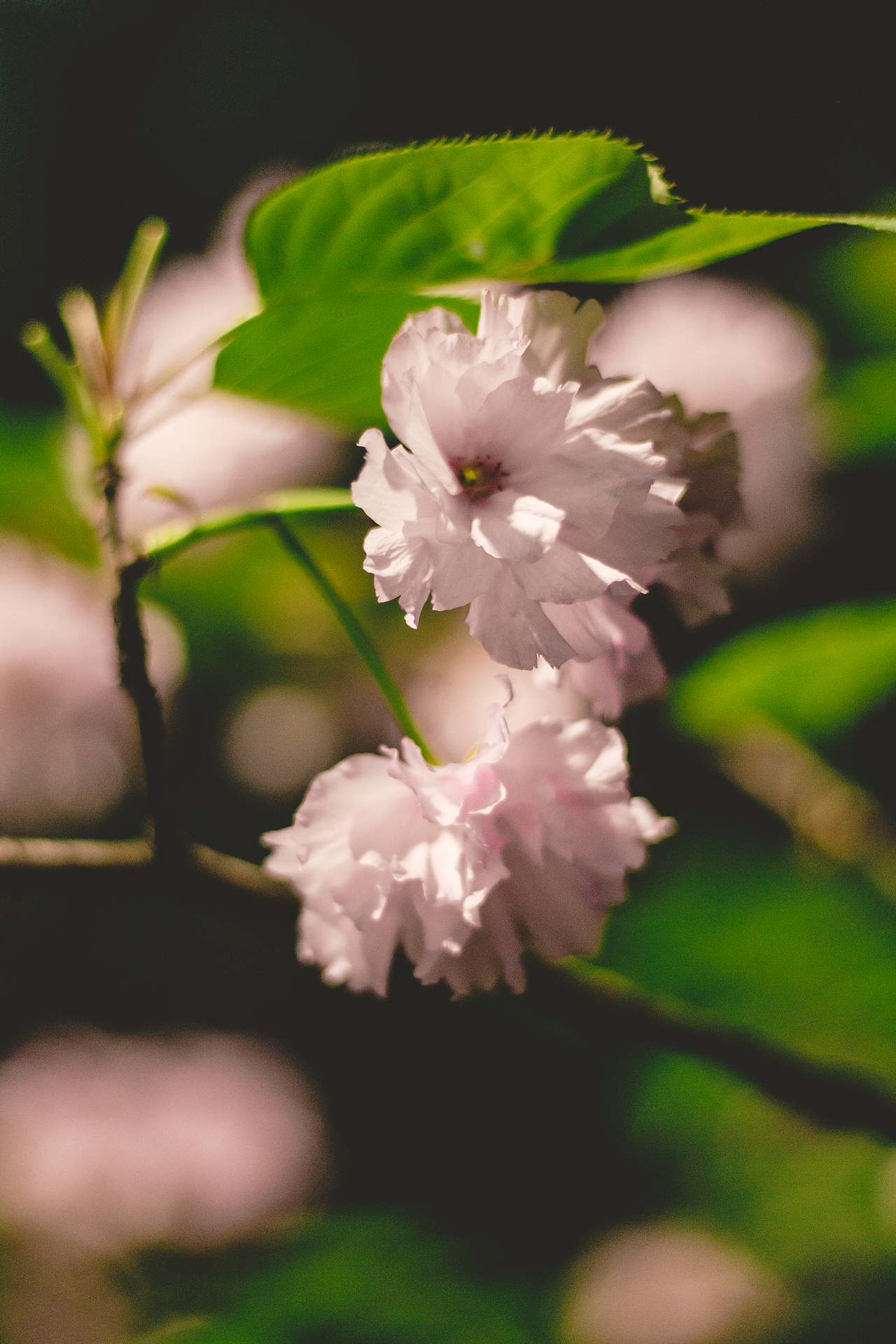 富阳不起眼的小角落