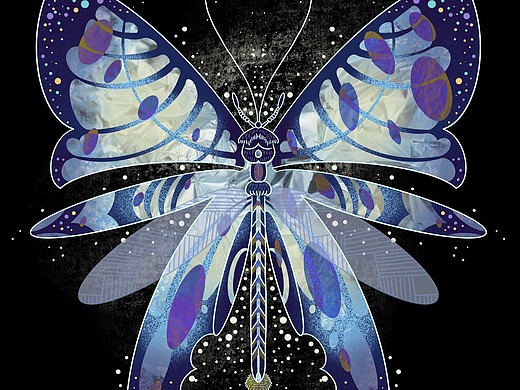 琥珀练习师-----昆虫联想