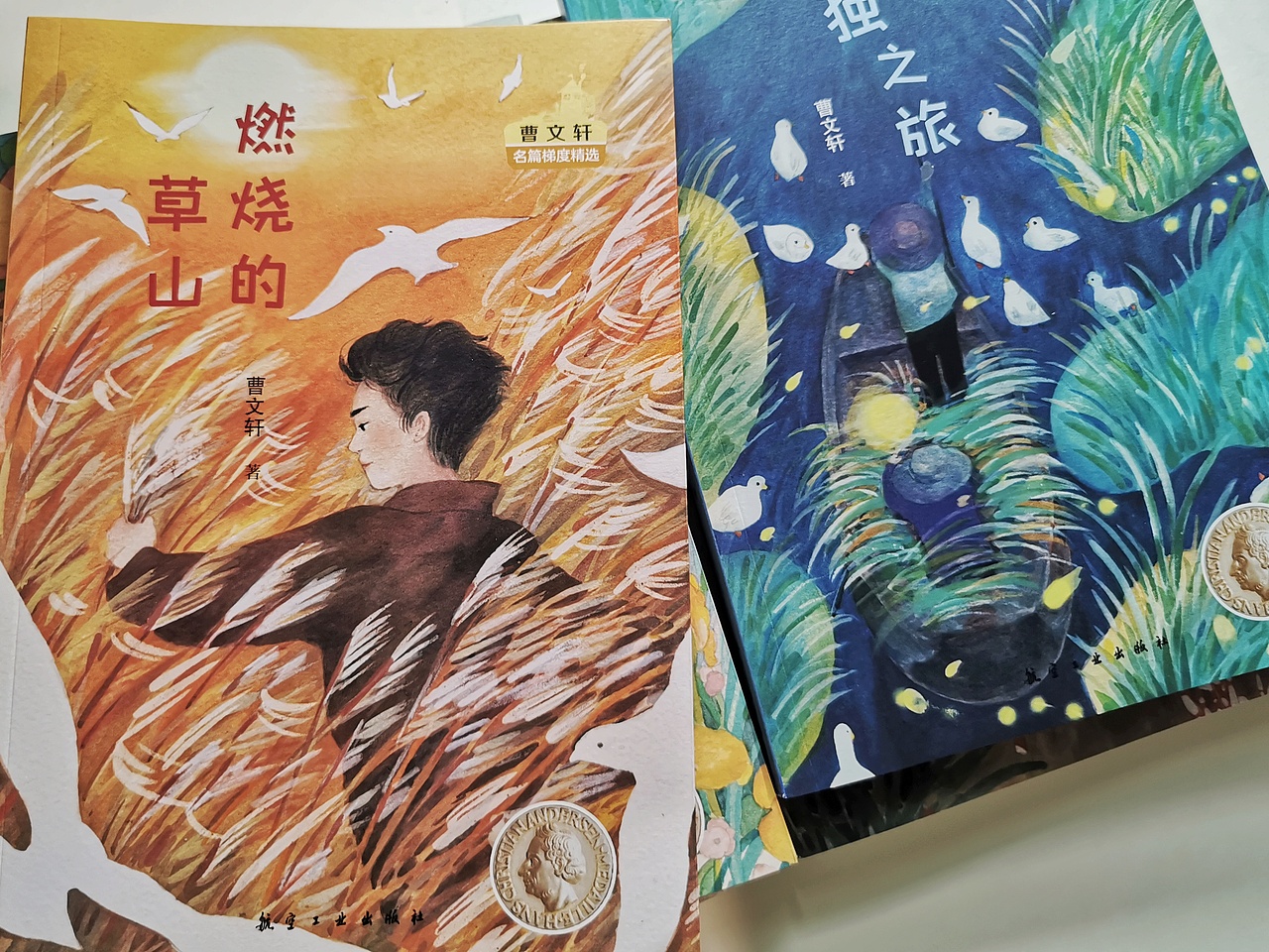 曹文轩儿童文学插画