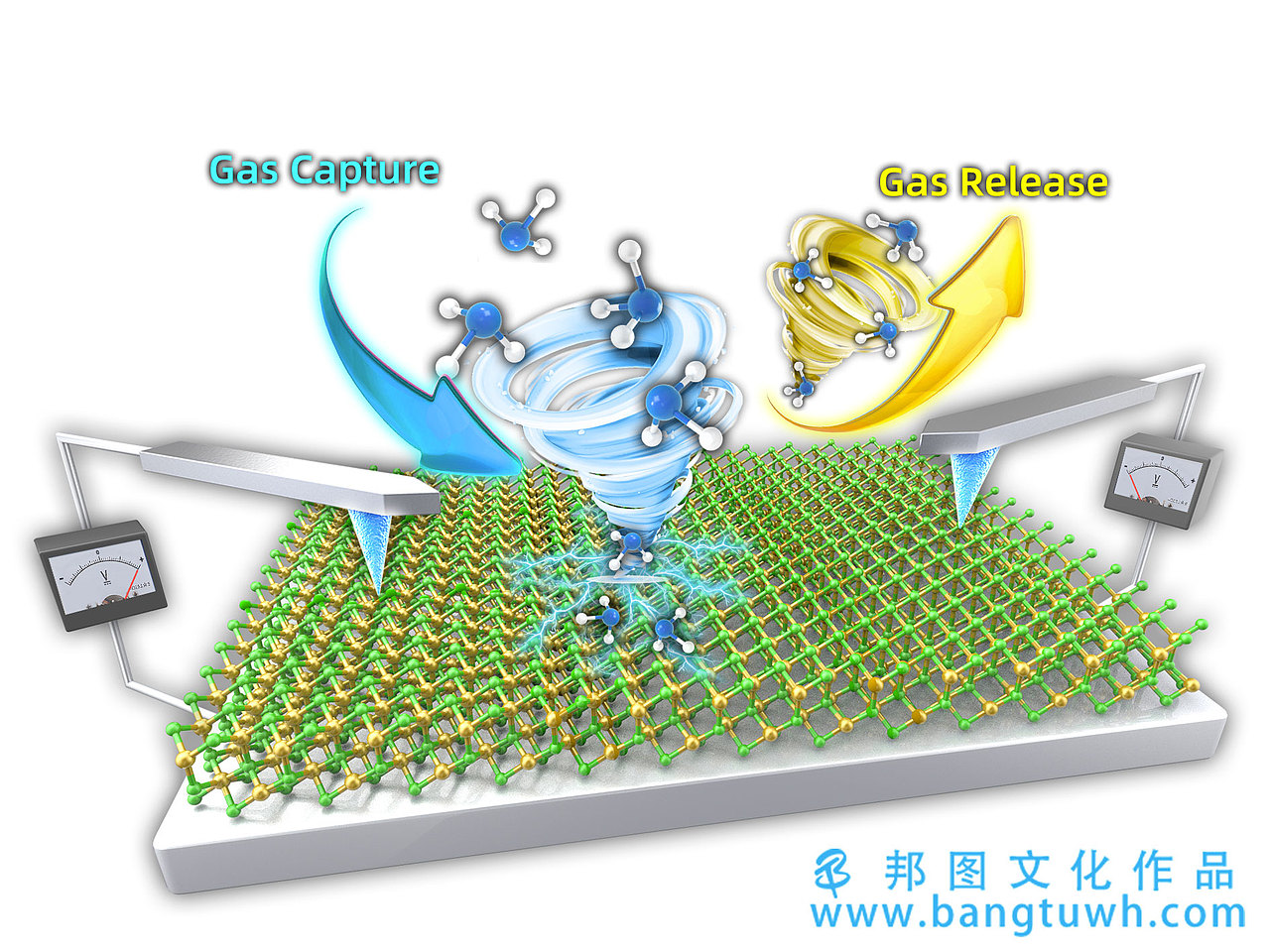 论文配图杂志封面设计科研绘图医学插画三维动画综述图