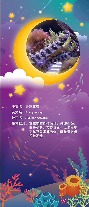 海底世界---生物展示灯箱片