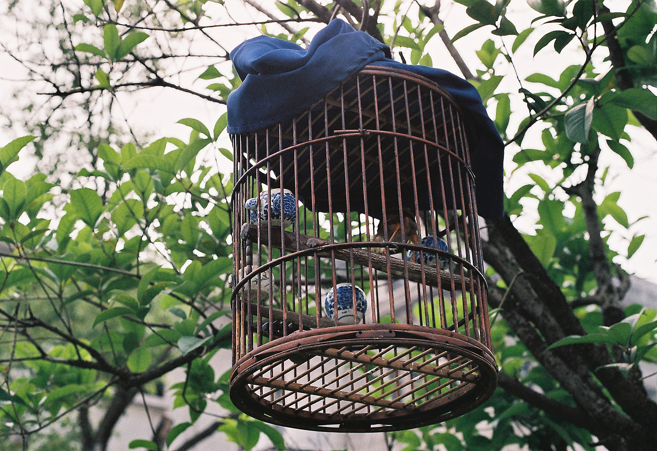 吴熙玮和他的胶片