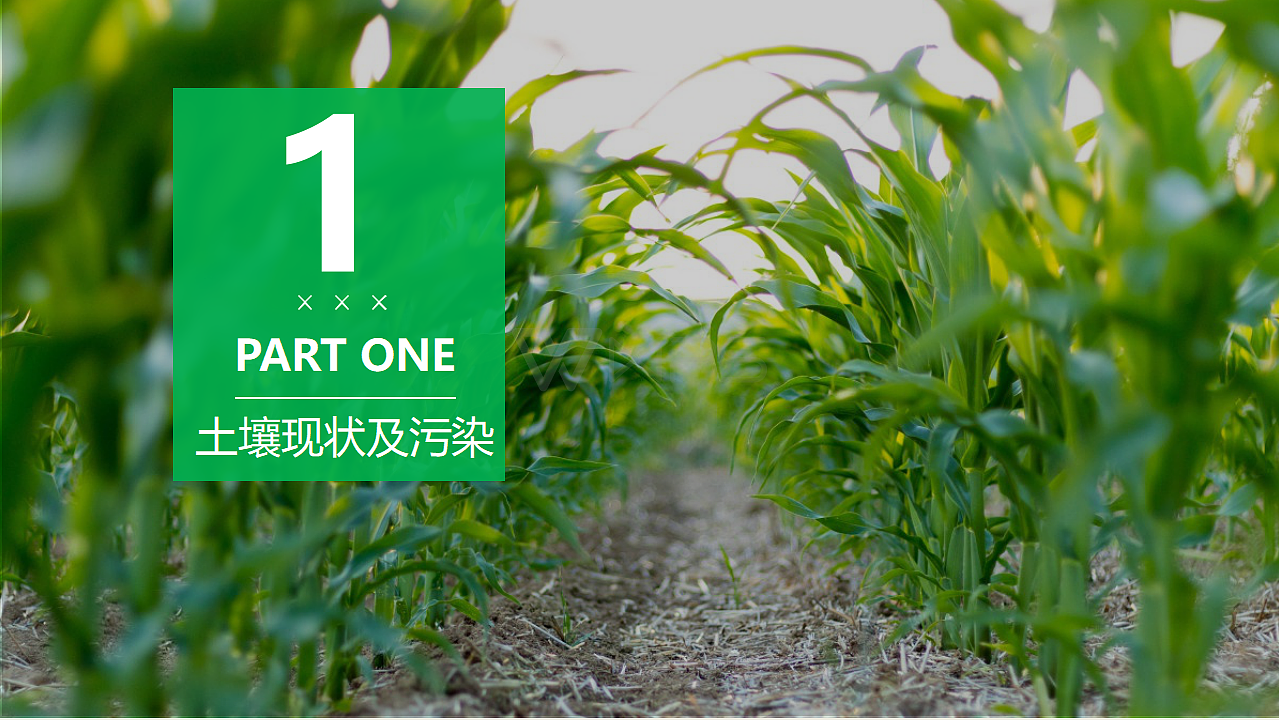 广东原生农业生物科技有限公司ppt（图ZMTE3MzEzODI4） - PPT/Keynote - 站酷设计师RexW一studio原创素材 - 站酷ZCOOL