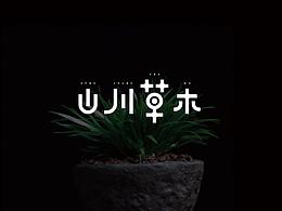 字体