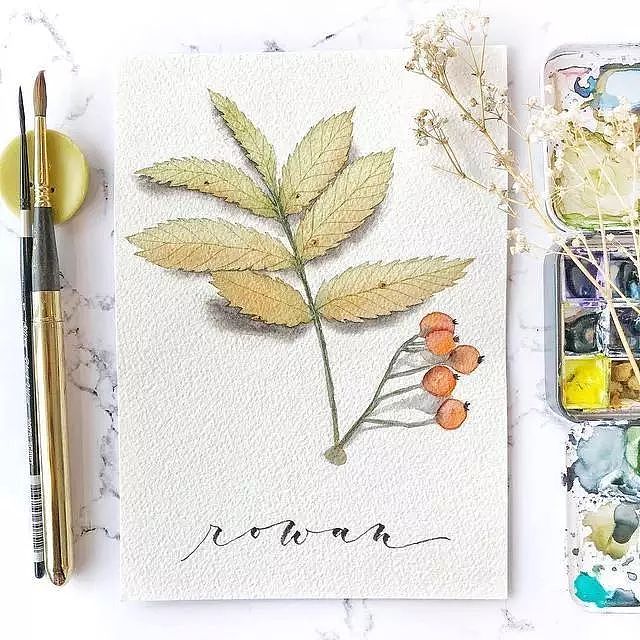 适合初学者临摹水彩素材—树叶（图ZMTY4NDc2ODg4） - 艺术插画 - 站酷设计师豚骨汤面原创素材 - 站酷ZCOOL