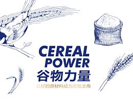 烘焙