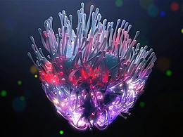 C4D