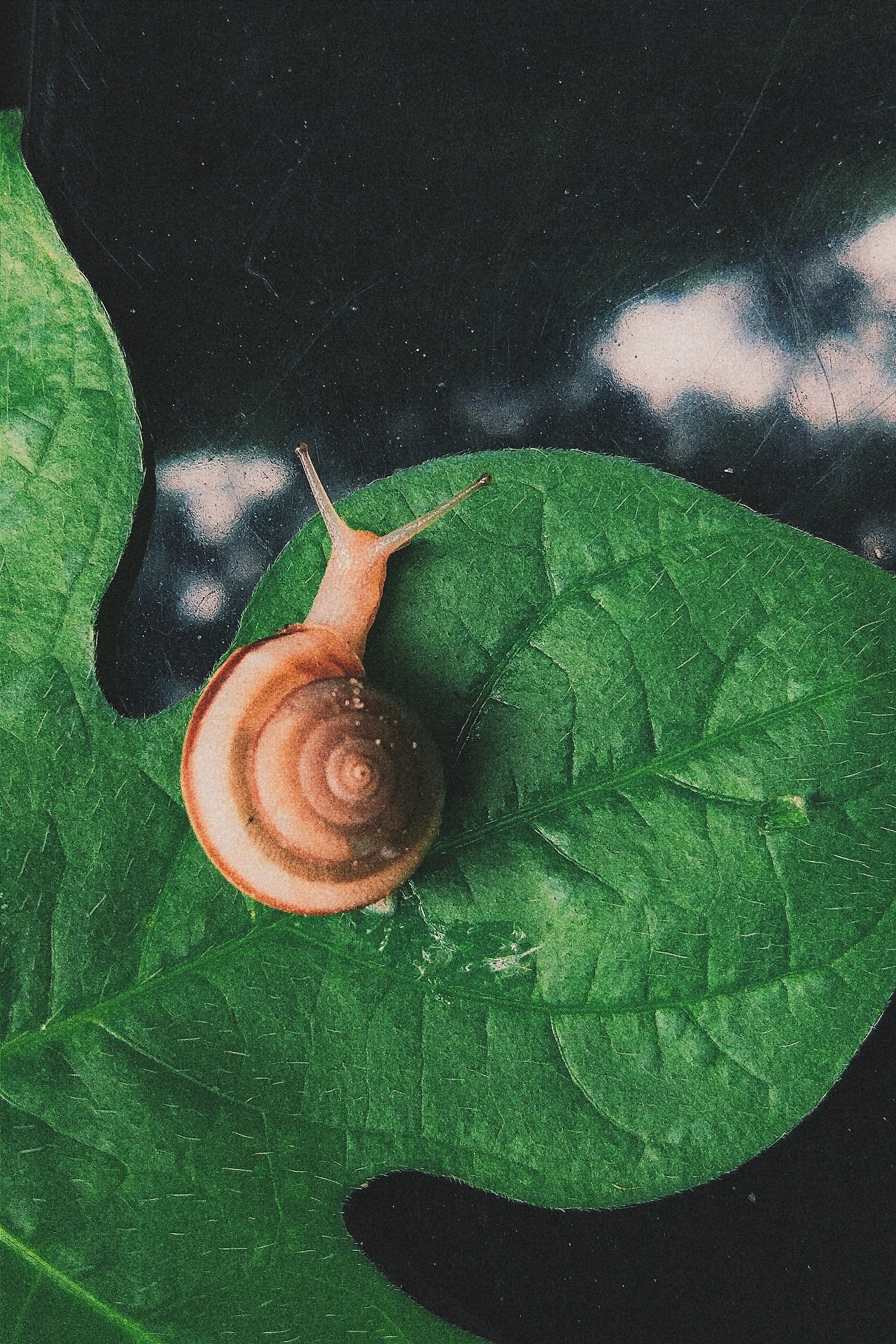 分享一下这个夏天（图ZNTQ3MzU5MTY=） - 修图/后期 - 站酷设计师懂小白原创素材 - 站酷ZCOOL