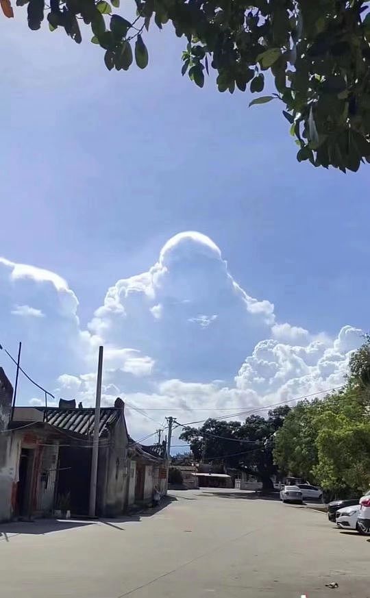 翡翠设计，奇思妙想（图ZMzQzODQwODE2） - 图案 - 站酷设计师Z403121802原创素材 - 站酷ZCOOL