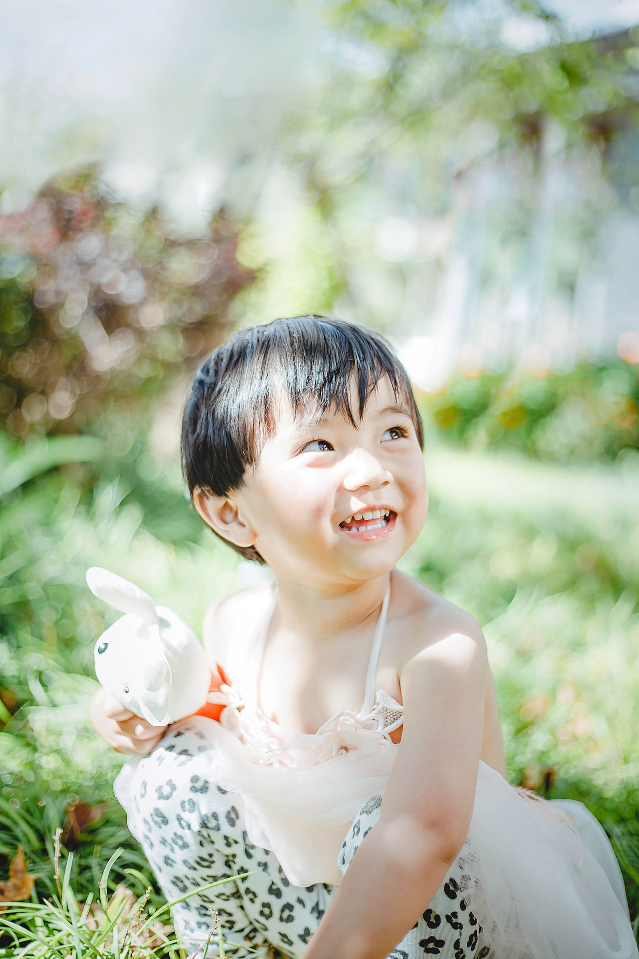 丽江 木楷 2016.10.03