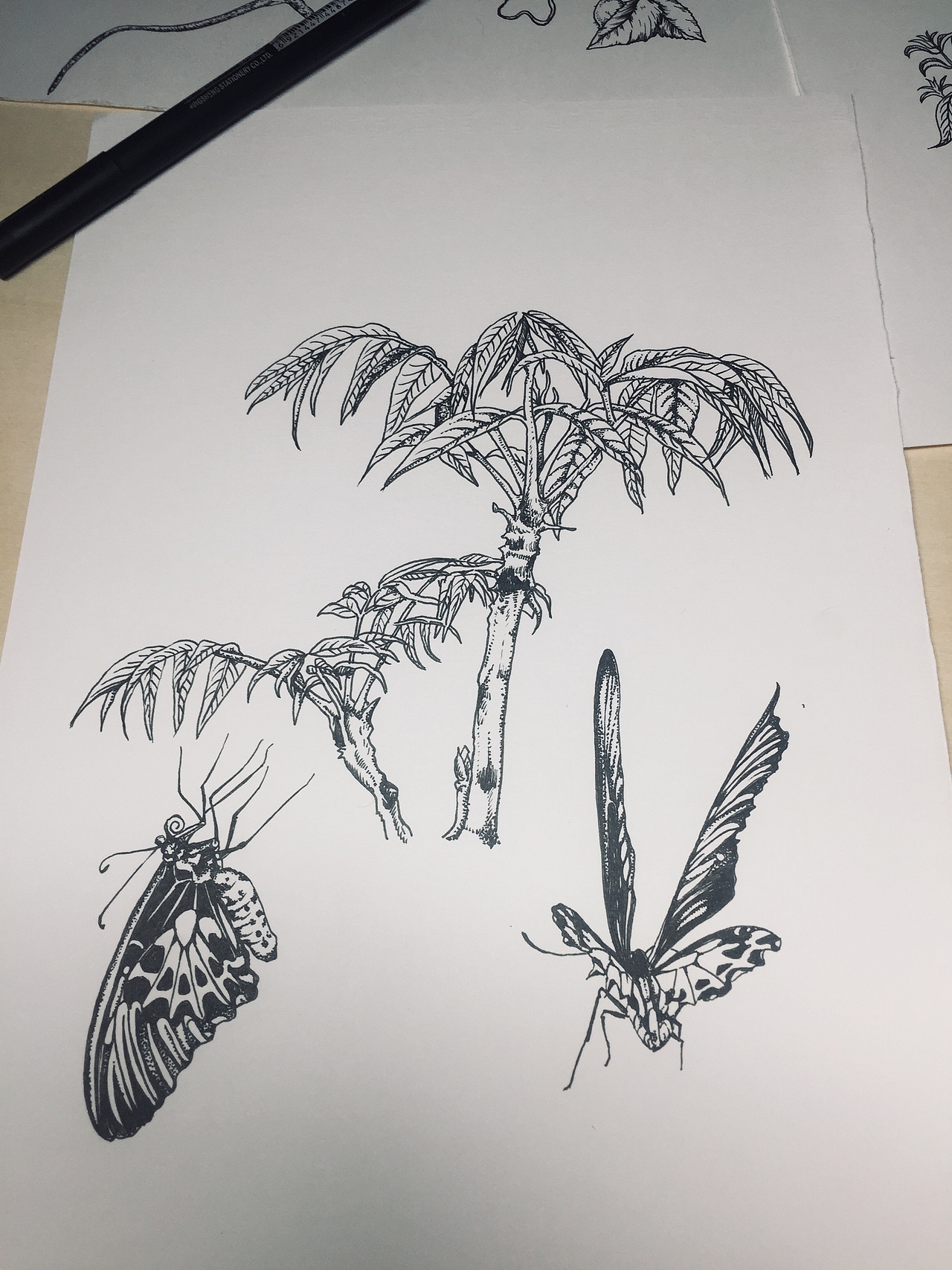 老厨娘小罐酱包装设计（图ZMTgxMjQ0MzY0） - 品牌 - 站酷设计师插画师崔萌萌原创素材 - 站酷ZCOOL
