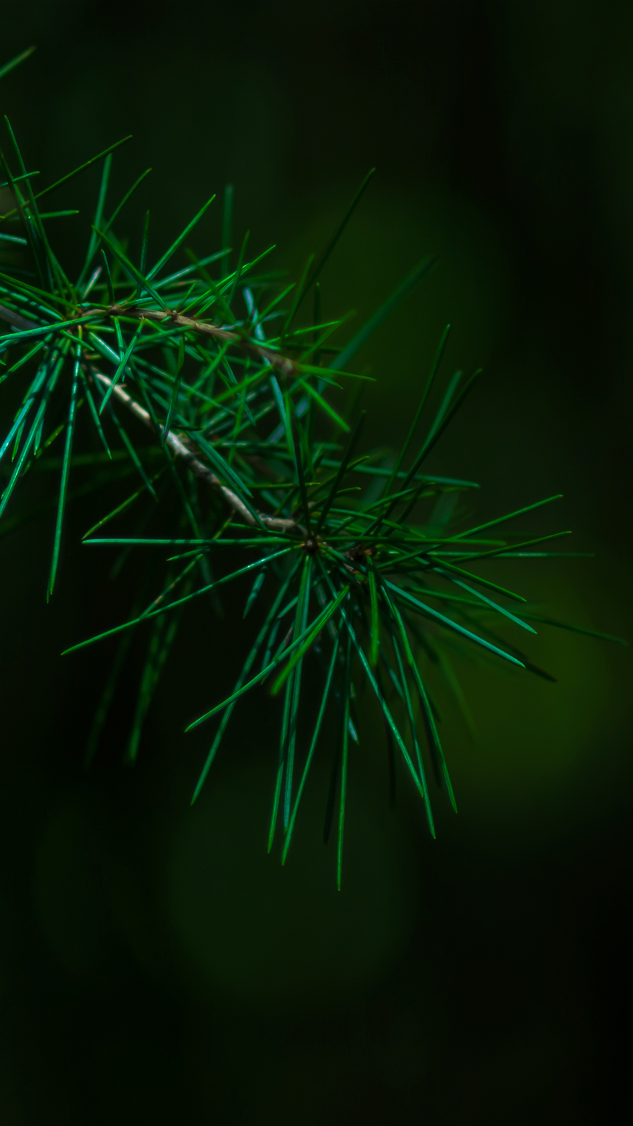 平常心（圖ZMzczODkxMDg=） - 其他攝影 - 站酷設(shè)計(jì)師HK754202733原創(chuàng)素材 - 站酷ZCOOL