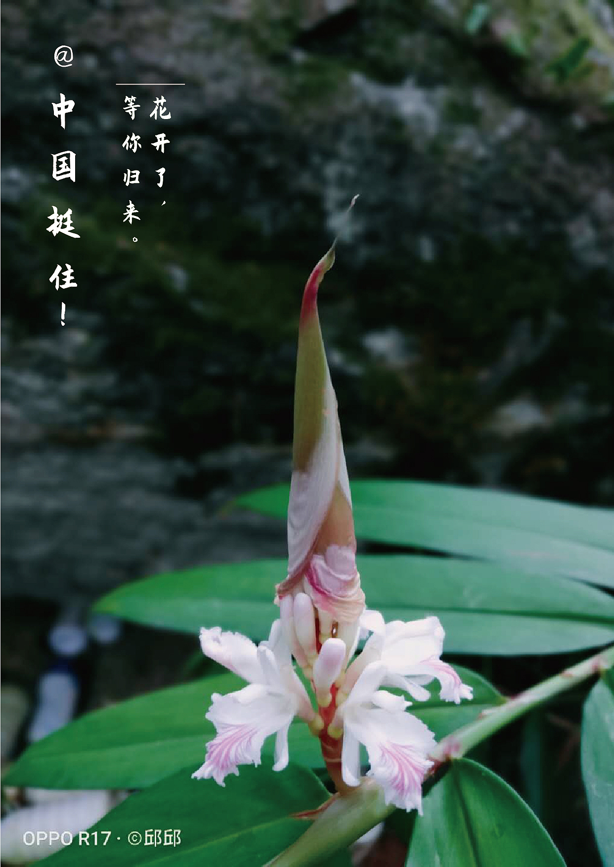 平常练手（图ZMjA1Mzk0Njg0） - 海报 - 站酷设计师杞子呆呆原创素材 - 站酷ZCOOL