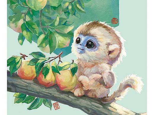 【我诞生在中国】——金丝猴