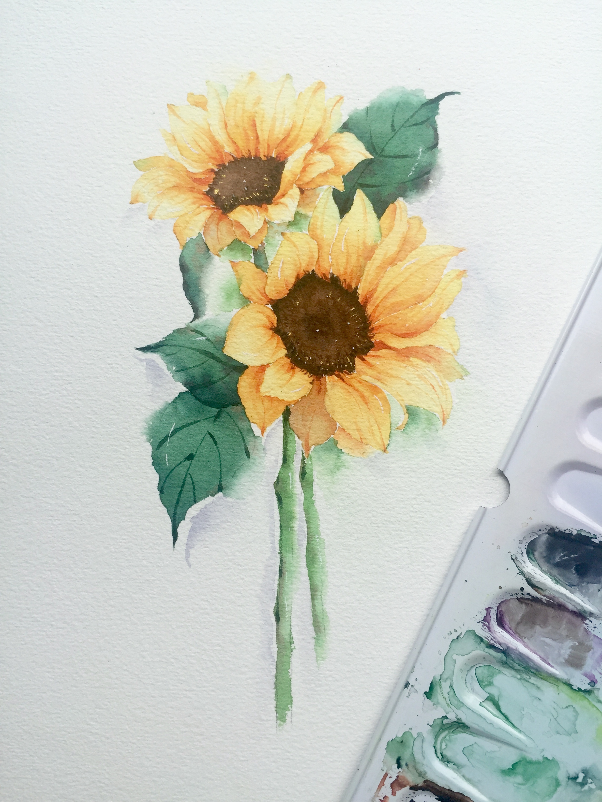 水彩花卉|纯艺术|绘画|鹿芩水彩 - 原创作品 - 站酷 (zcool)