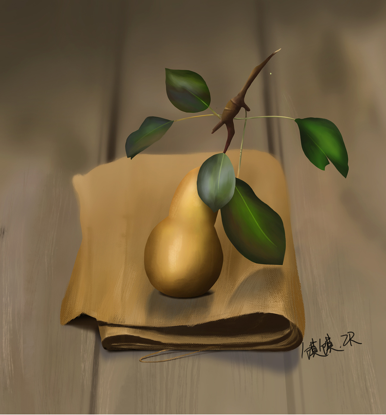 静物插画